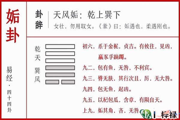 抽签算命,抽签占卜_占卜抽签会抽到凶吗_在线占卜抽签算命