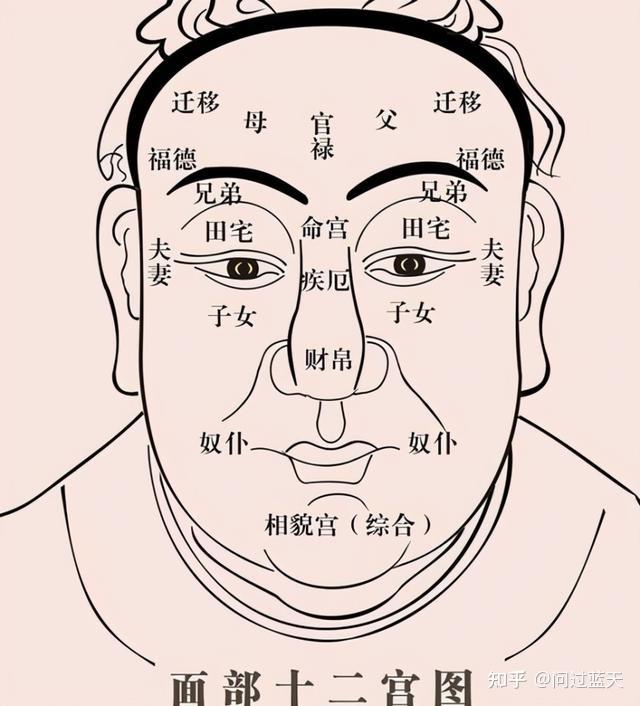 看女人五官面相算命图解_算命面相五官_五官面相算命图解男性