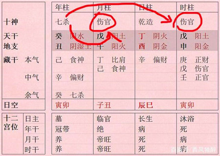 解析赵忠祥八字命理_八字命理综合解析_命理师解析钟汉良命理