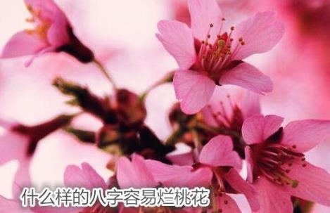 八字算命桃花运_八字桃花运势_八字看桃花运势