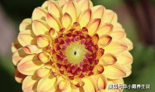 桃花查法口诀_算桃花位_怎样查桃花位