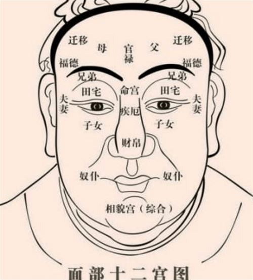 紫薇斗数看另一半家境_紫微斗数看十年运势_紫薇斗数看另一半