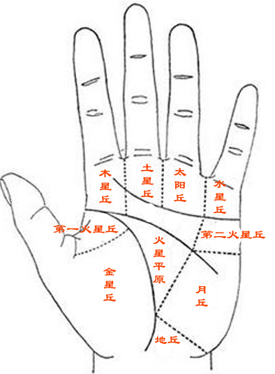 女人手相分析命运相手之法长短不一各有千秋