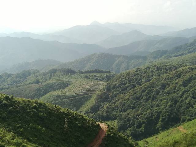 别墅布局风水_风水二十山艮山坤向_有山有水有宝藏的风水布局