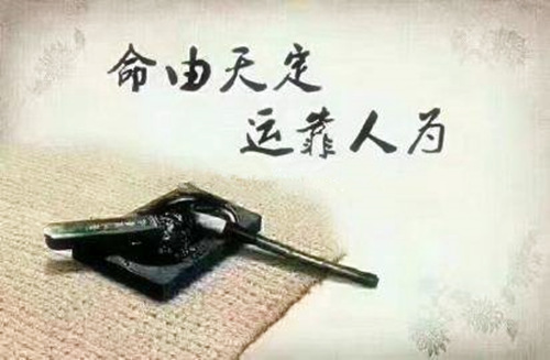 现今四柱论命怪象有哪些_现今四柱论命怪象有几个_四柱命学要论