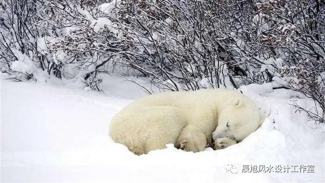 奇门遁甲九星八门克应_奇门八门九星八神的含义_奇门九星八门应克关系