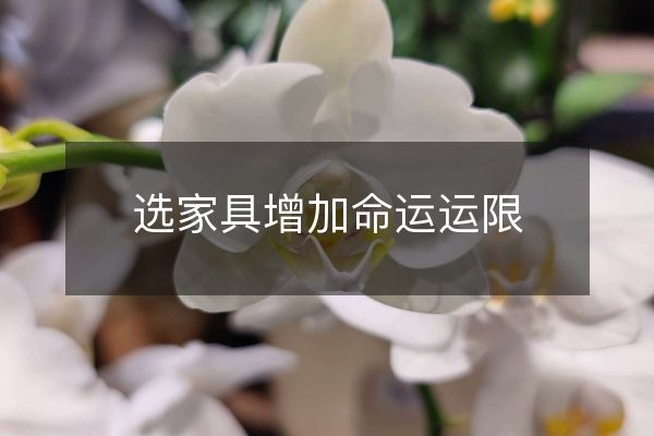 选家具增加命运运限