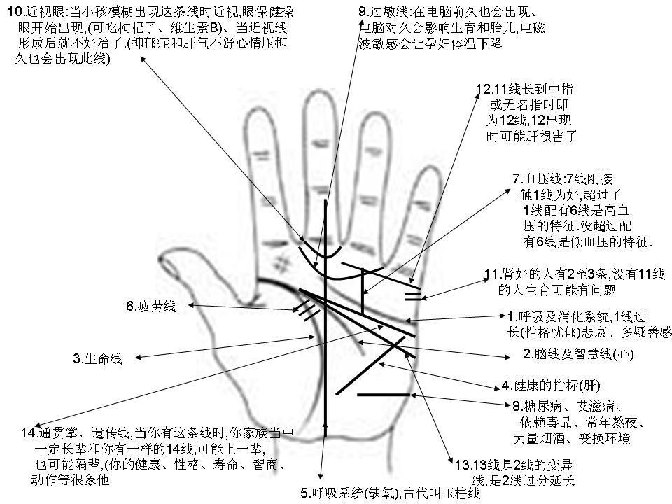 杭州风水店_杭州看手相_杭州风水手相开运