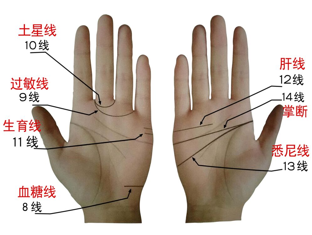 手相看感情准吗_感情线看手相算命_手相怎么看感情线图解