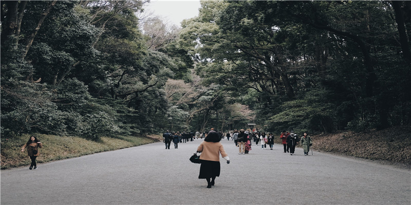 女命天机太阴在夫妻宫