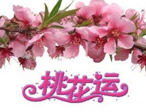 生辰八字查桃花位_生辰八字查桃花位_生辰八字查桃花位