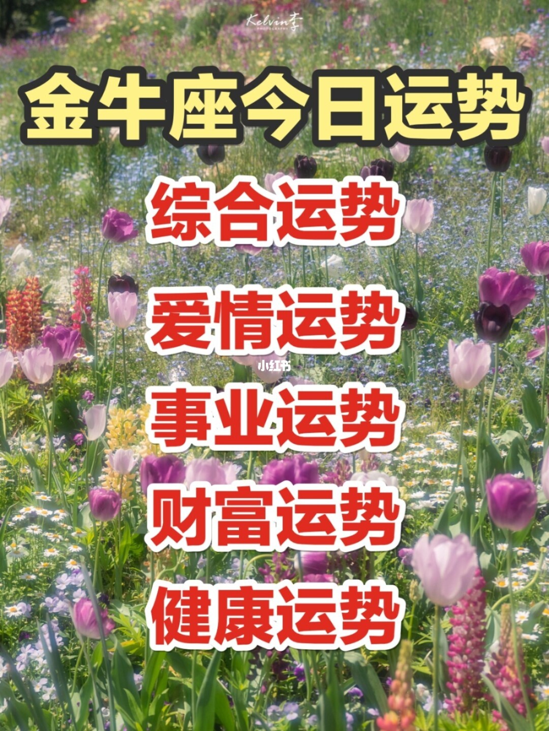 马年桃花运_属马2019桃花运势_2021年生肖马桃花运势