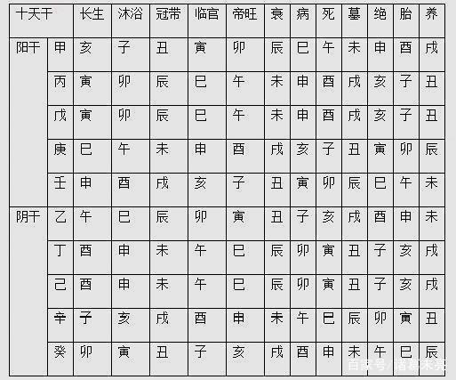 六爻六神地支类象_六爻论地支相害吗_六爻十二地支意象