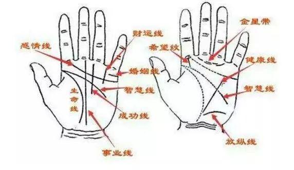 手相算命总论手相大揭秘_手相算命图解大全看老运_图解看手相大全详细