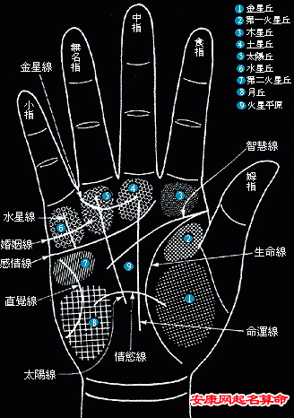 手相如何看人的健康运看面相的流年部位在哪里