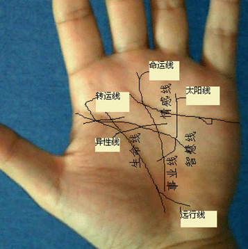 算命手相可信吗_算命能看出手相_算命的看手相一般会说什么话