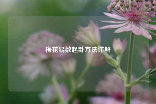 梅花易数起卦方法详解