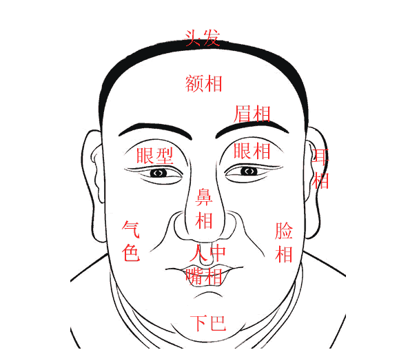 风水堂:面相有‘三停’