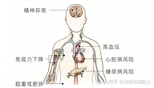 《失眠人的梦》_失眠人的梦在哪播出_失眠人的梦 百度百科