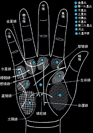 算命看手相的_算命算手相_怎么看手相算命