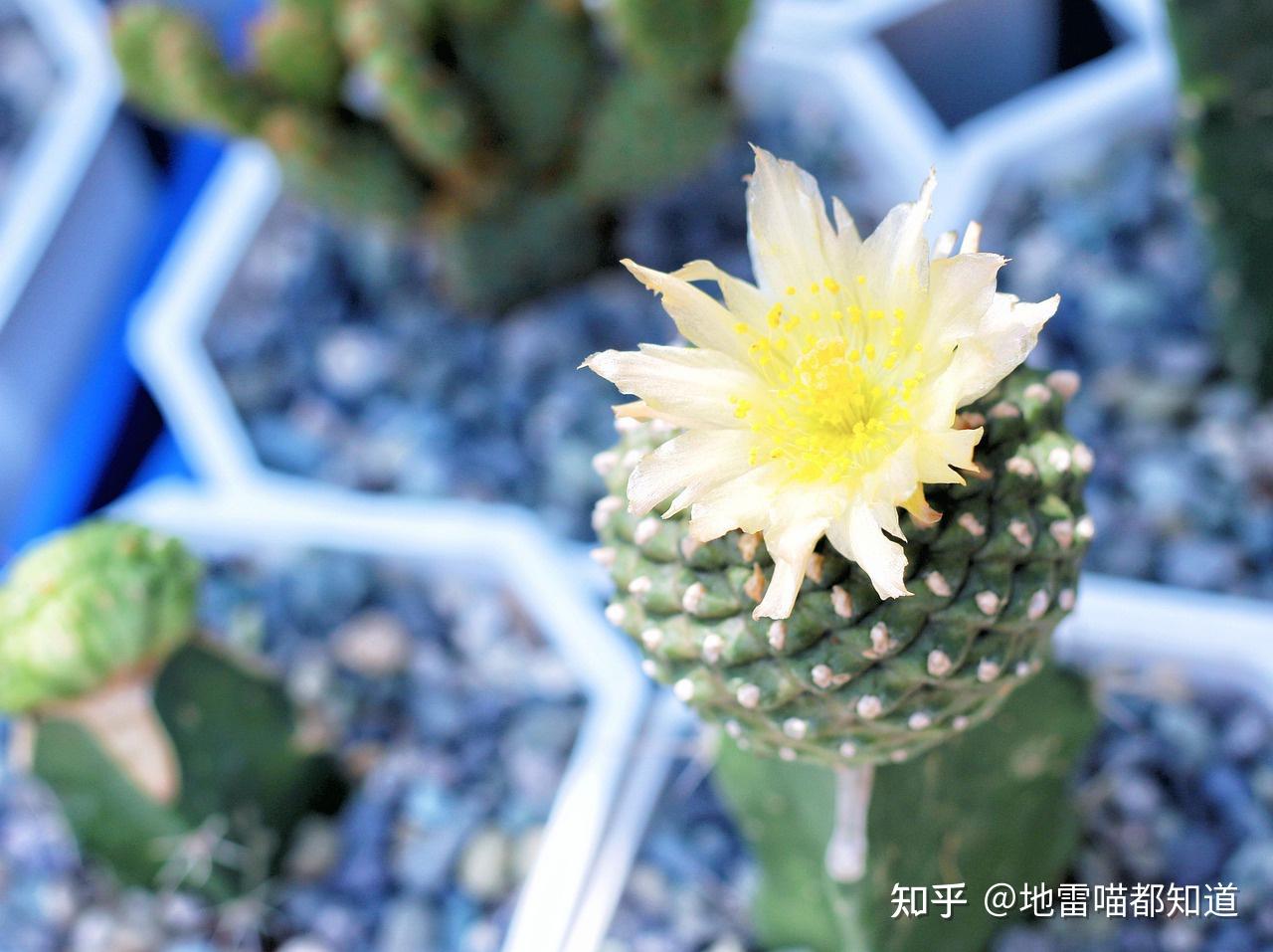 家居风水厕所的位置_家居风水厕所的位置_家居风水厕所的位置