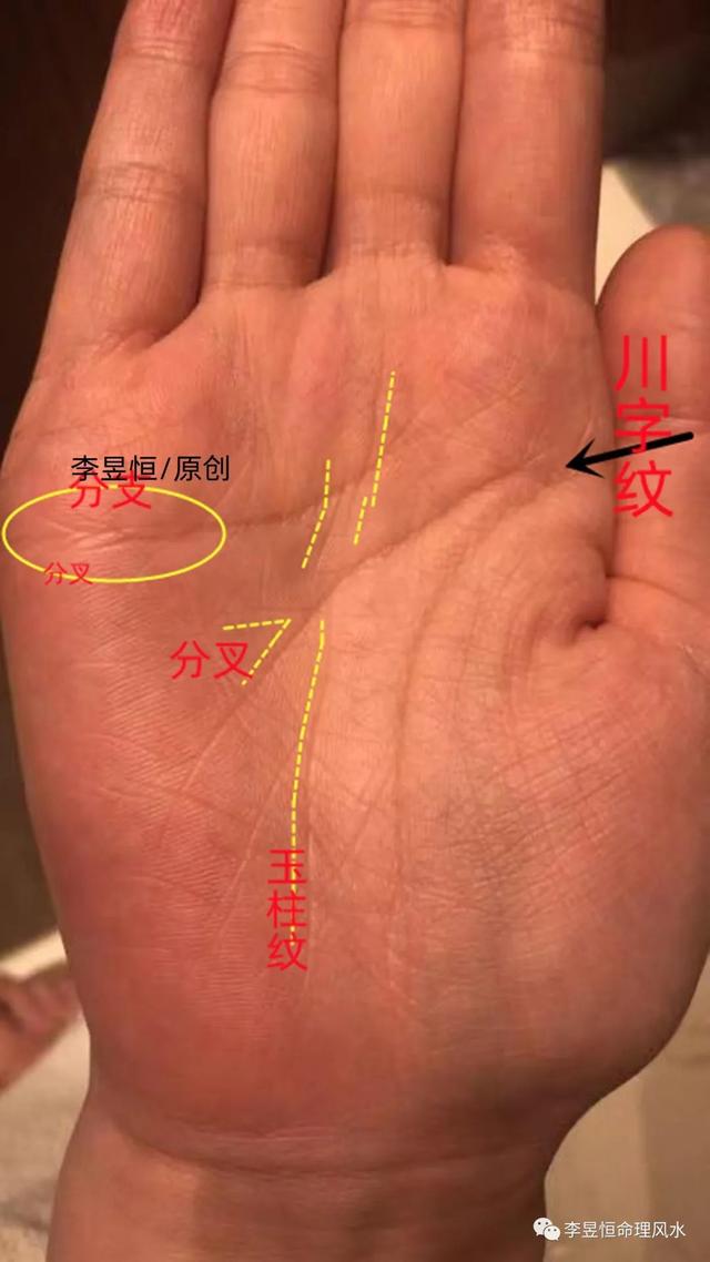 怎么看手相算命_算命手相看什么_算命看手相的